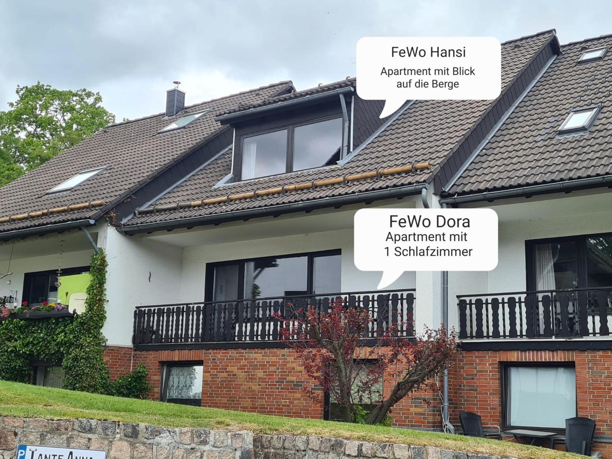 Ferienwohnungen Dora Und Hansi Braunlage Esterno foto